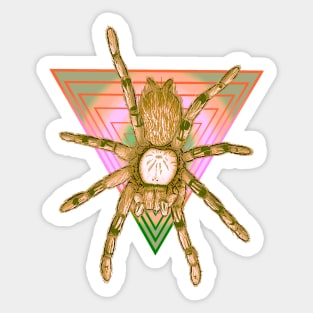 Tarantula “Vaporwave” Triangle V1 Sticker